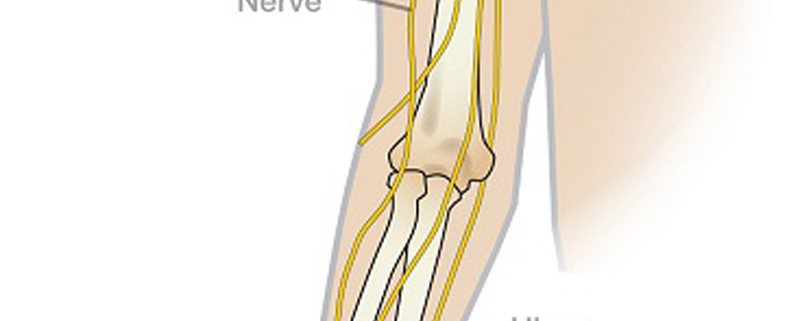 Anatomy 101: Nerves of the Upper Extremity